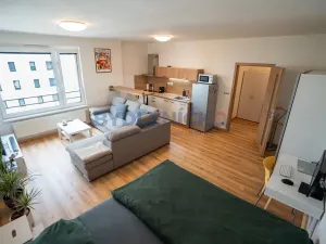 Prodej bytu 1+kk, České Budějovice, České Vrbné, 45 m2