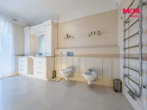 Prodej rodinného domu, Šestajovice, U Váhy, 356 m2