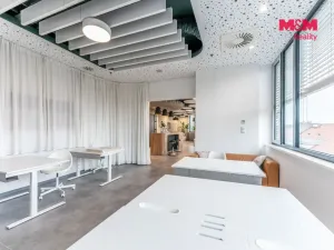 Pronájem komerční nemovitosti, Praha, Jihlavská, 25 m2