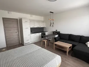 Pronájem bytu 1+kk, Praha - Horní Měcholupy, Hornoměcholupská, 40 m2