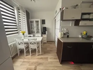 Pronájem bytu 3+1, Litvínov, Školní, 65 m2