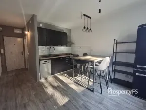 Pronájem bytu 2+kk, Třebíč - Nové Dvory, C. Boudy, 33 m2