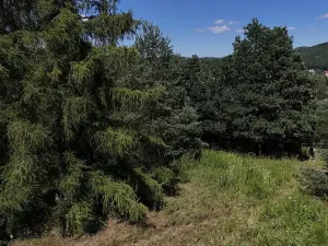 Prodej pozemku, Čtyřkoly, 1583 m2