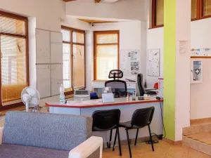 Prodej obchodního prostoru, Sadová, 262 m2