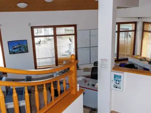 Prodej obchodního prostoru, Sadová, 262 m2