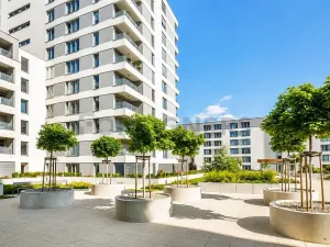 Pronájem bytu 1+kk, Plzeň, Stehlíkova, 39 m2
