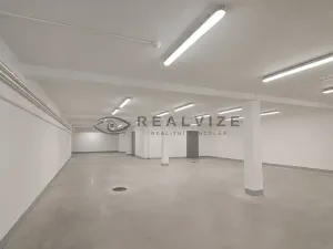 Prodej vícegeneračního domu, České Budějovice, J. Dobrovského, 830 m2