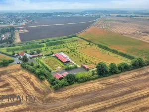 Prodej komerční nemovitosti, Pečky, 345 m2