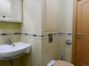 Pronájem bytu 2+1, Chomutov, Dřínovská, 62 m2