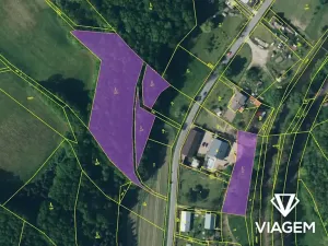 Prodej podílu lesa, Kobylá nad Vidnavkou, 1161 m2