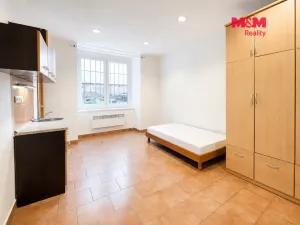 Pronájem bytu 1+kk, Praha - Vinohrady, Radhošťská, 24 m2