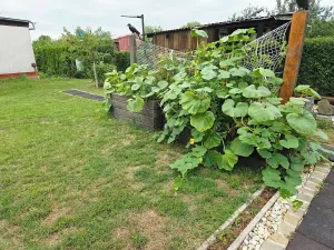 Prodej chaty, Otrokovice, 70 m2
