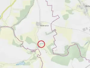 Prodej lesa, Čáslavsko, 1351 m2