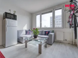 Prodej bytu 1+1, Plzeň - Jižní Předměstí, Čermákova, 36 m2