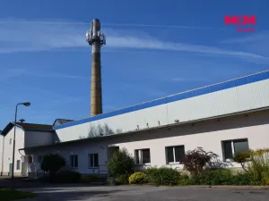 Prodej výrobních prostor, Miletín, Lhotova, 22000 m2