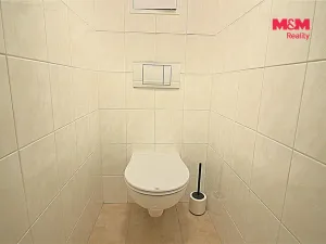 Pronájem bytu 1+kk, Klecany, V Honech, 32 m2