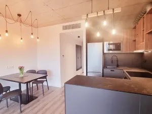 Pronájem bytu 2+kk, Brno, V rejích, 49 m2