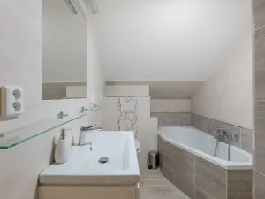 Prodej ubytování, Bartošovice v Orlických horách, 500 m2