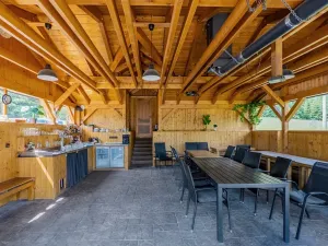 Prodej ubytování, Bartošovice v Orlických horách, 500 m2