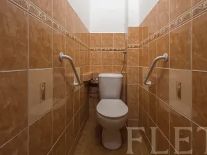 Prodej bytu 2+1, Praha - Žižkov, Loudova, 61 m2