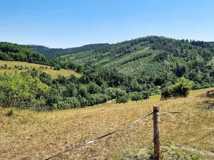 Prodej chalupy, Osiky, 115 m2
