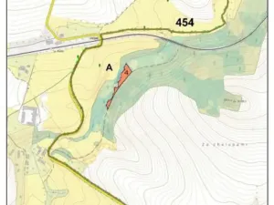 Prodej lesa, Dolní Hořice, 2471 m2