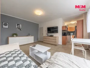 Prodej bytu 3+1, Mělník, Dykova, 74 m2