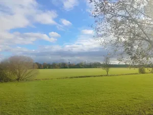 Prodej pozemku pro bydlení, Dobřany, Zahradní, 169 m2