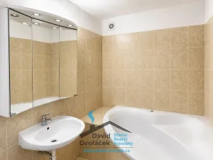 Prodej rodinného domu, Hněvčeves, 120 m2