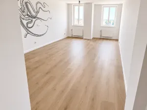 Pronájem bytu 5+kk, Praha - Vinohrady, Mánesova, 300 m2