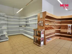 Pronájem obchodního prostoru, Český Těšín, náměstí ČSA, 110 m2