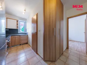 Prodej bytu 2+1, Ostrov, Luční, 57 m2