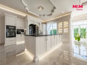 Prodej obchodního prostoru, Šestajovice, U Váhy, 356 m2