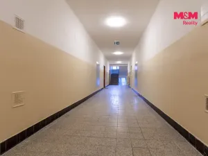 Pronájem bytu 1+1, Plzeň - Jižní Předměstí, Raisova, 30 m2
