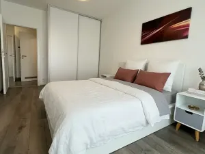 Pronájem bytu 2+kk, Praha - Karlín, Nekvasilova, 67 m2
