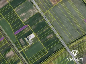 Prodej pole, Podivín, 10798 m2