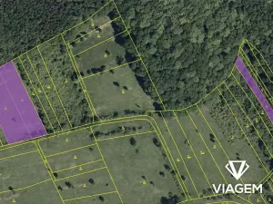 Prodej pole, Javorník, 2876 m2