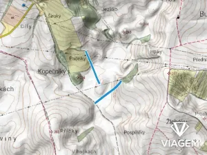 Prodej podílu pole, Strážovice, 973 m2