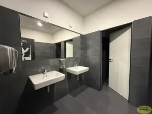 Pronájem komerční nemovitosti, Kroměříž, Křižná, 250 m2