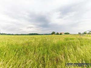 Prodej pozemku pro bydlení, Kasalice, 1941 m2