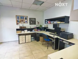 Prodej obchodního prostoru, Soběslav, Wilsonova, 490 m2
