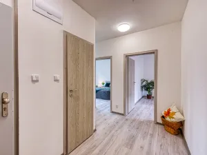 Pronájem bytu 2+1, Chomutov, Blatenská, 52 m2