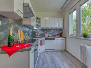 Pronájem bytu 2+1, Chomutov, Blatenská, 52 m2