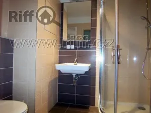 Pronájem bytu 1+kk, Brno, U Leskavy, 37 m2