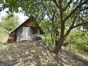 Prodej sadu/vinice, Bzenec, 2460 m2