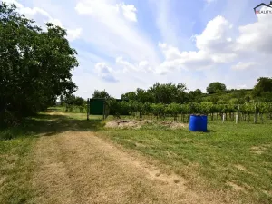 Prodej sadu/vinice, Bzenec, 2460 m2