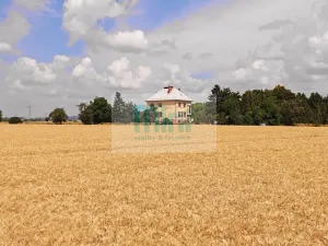 Prodej pozemku pro bydlení, Uničov, 1123 m2