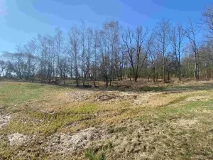 Dražba pozemku pro bydlení, Dolní Dvořiště, 11107 m2