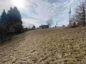 Dražba pozemku pro bydlení, Nové Hrady, 2407 m2