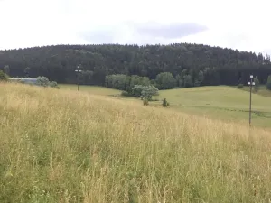 Dražba pole, Staré Buky, 10957 m2